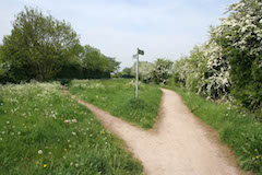 A choice of public right of way - geograph.org.uk - 809502.jpg